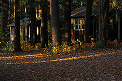 Clearwater Lodges Cottages